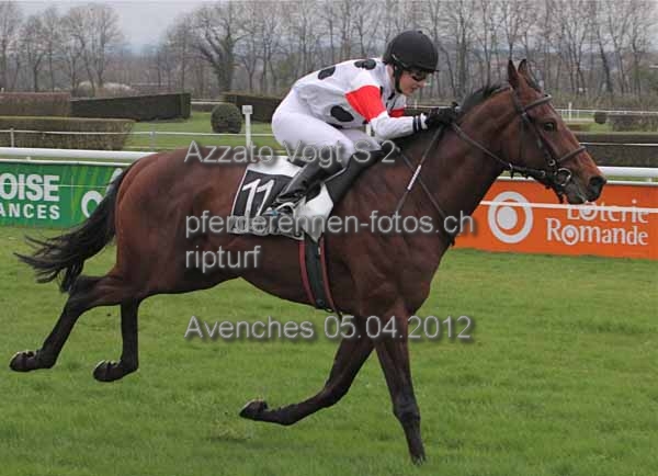 Azzato Vogt S 2 prot